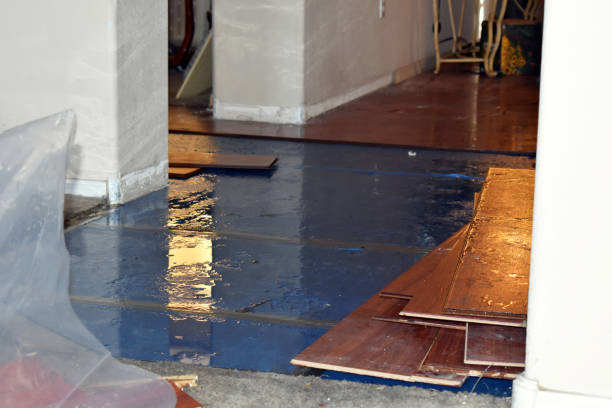 Professional Water Damage Restoration technician working in Salem, UT